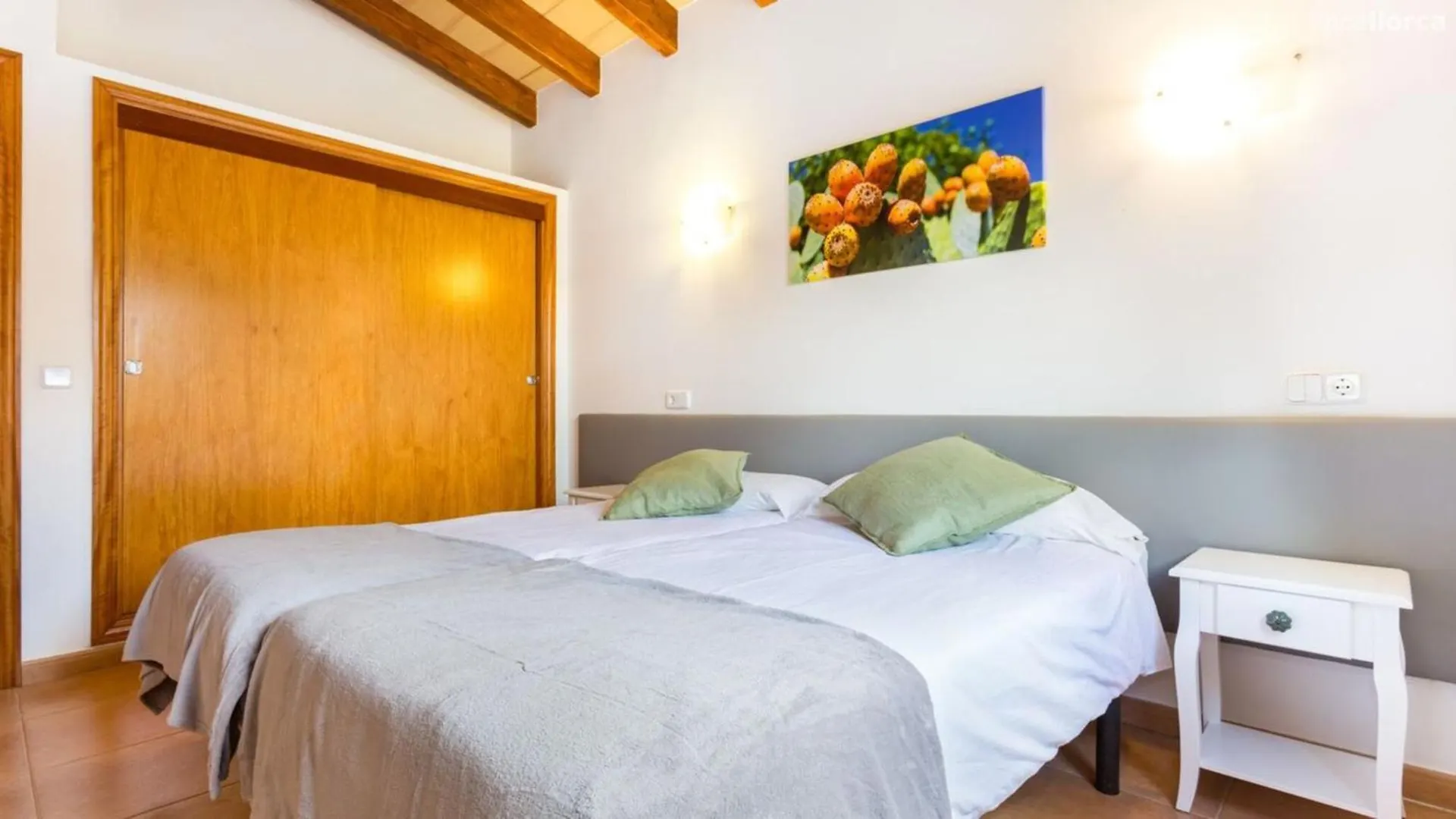 Sa Fonteta Villa Arta