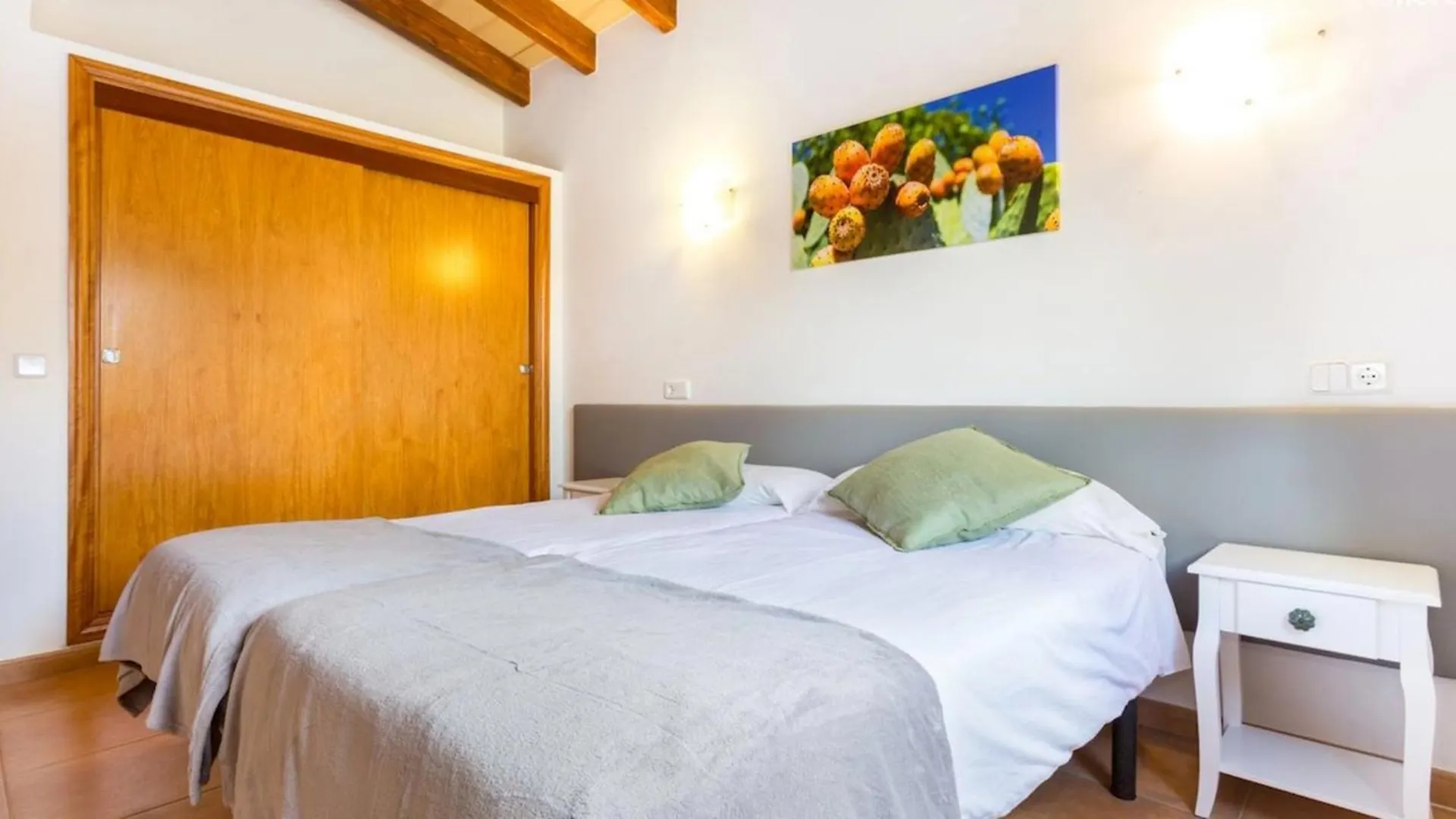 Sa Fonteta Villa Arta